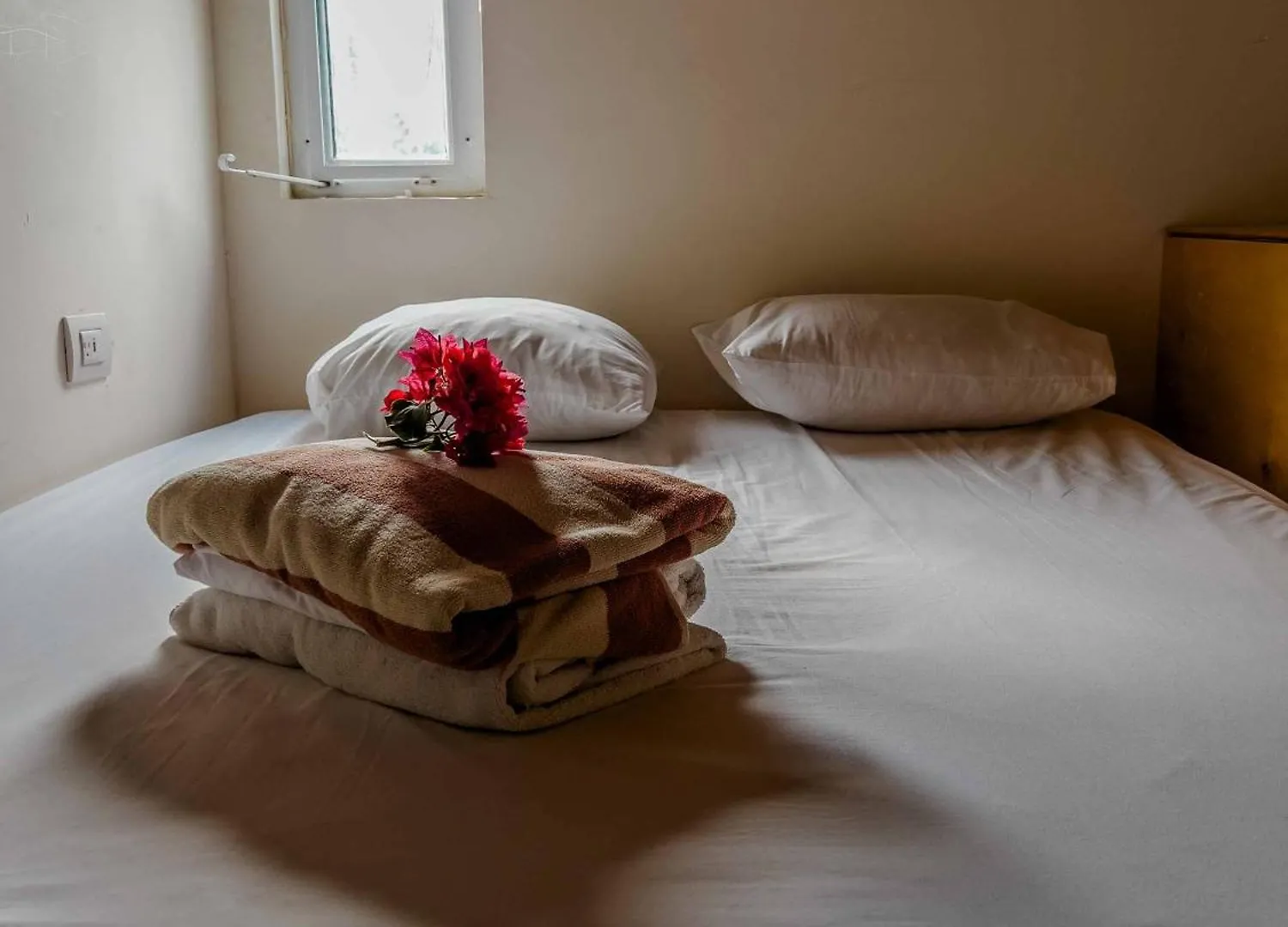 Oostel Smart Hostel - Tulum Pueblo (Adults Only)